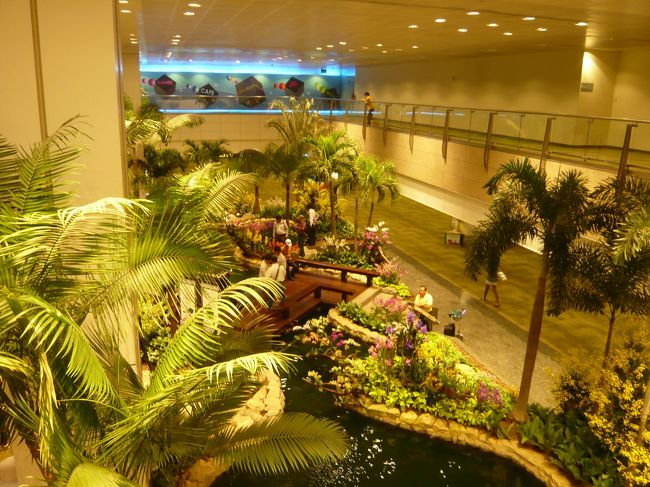 シンガポール・チャンギ空港にて<br /><br />ターミナル２。池がありました。