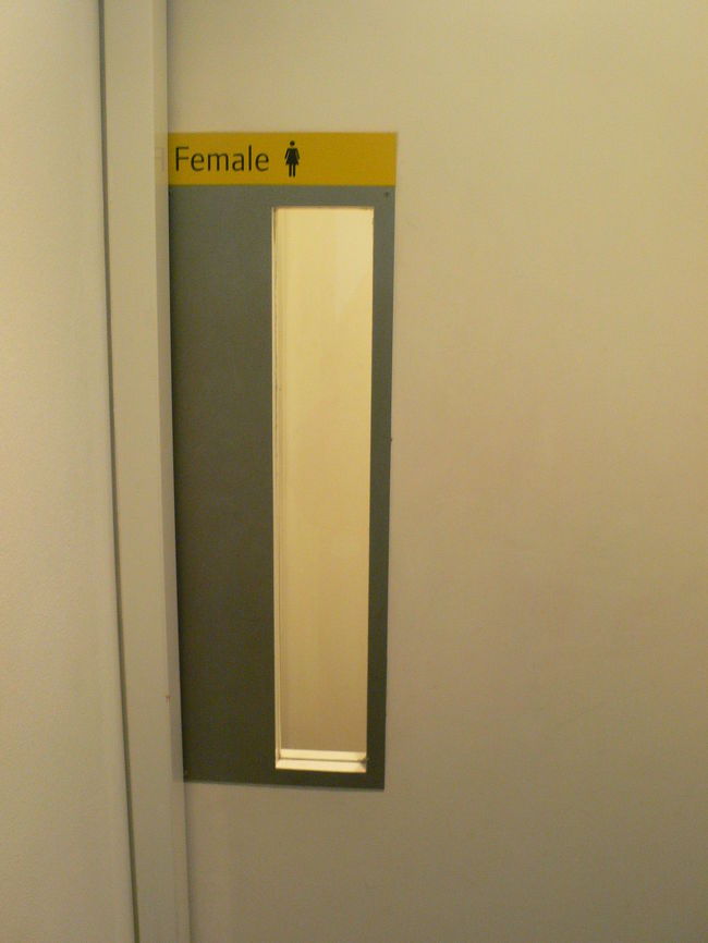 トイレのドアのデザイン。こちらもぬかりなし。