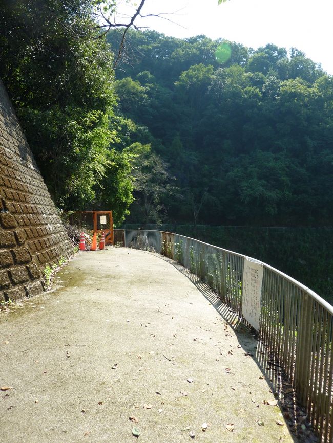 天ヶ瀬ダム右岸から天ヶ瀬森林公園へ行きます。<br /><br />以前は川沿いの道を通って行けたらしいのですが、崖崩れの恐れがあるらしく現在は通行止めになっています。<br />