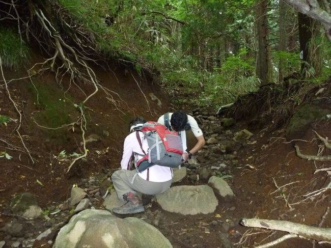 なぜか、必死。<br /><br />何かに集中すると、それが如何につまらないことでも、楽しいものである。