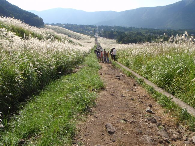 まっすぐ道が延びていて、行き止まり<br />そこからは、また元の道を戻るだけなのだ。<br /><br />ただのススキに、これだけ人が集まるのだから、たいしたものである。