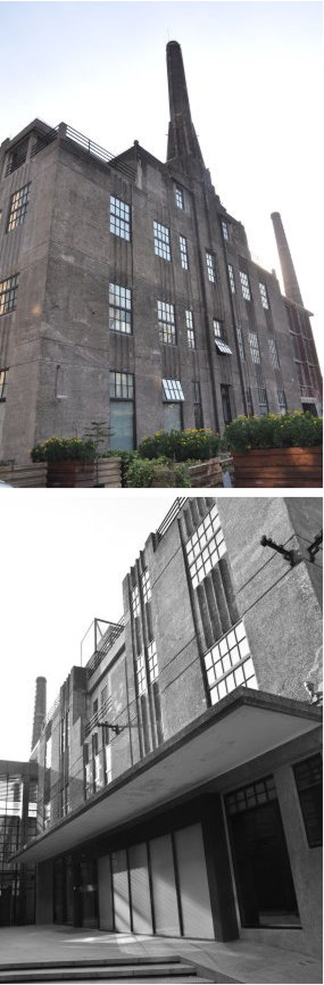 向かいの建物。