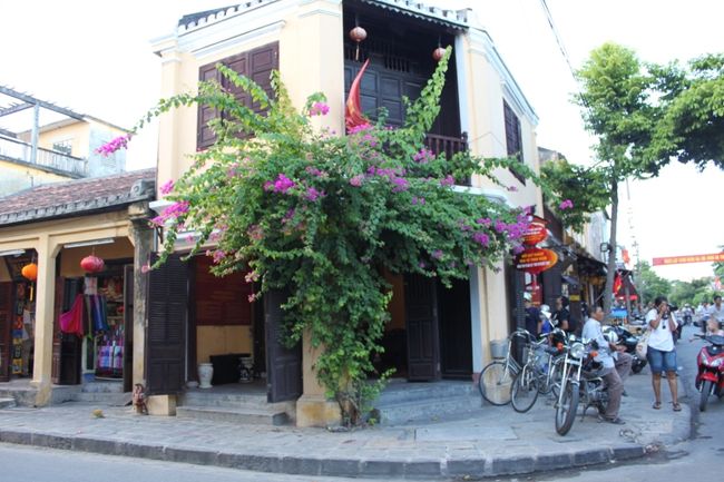 グエンタイホック通りか、チャンフー通り。<br /><br />ここも見事なブーゲン。<br />ウチも一軒家買ったら、真似したい。