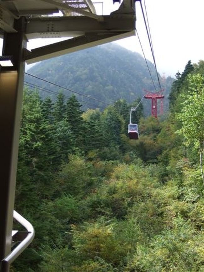 ロープウェイが降りてきました。<br /><br />定員61人です。<br />でも係りの人が1人乗るからか、60人で区切られてました。