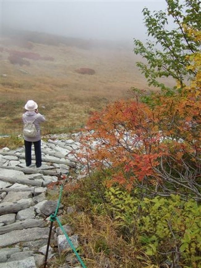 遊歩道を歩きます。