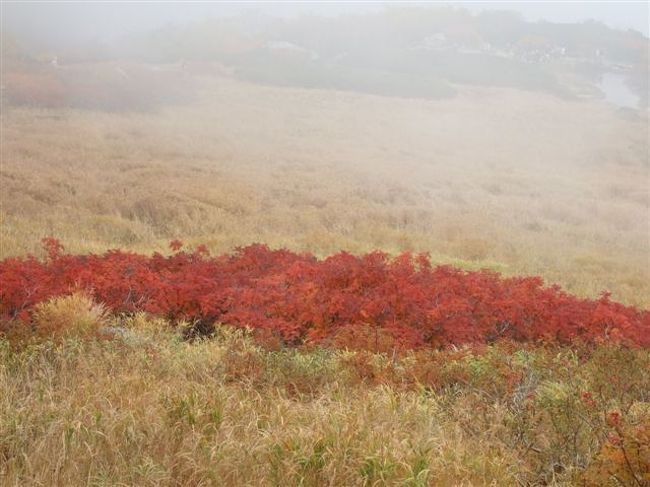 ↓ここからは紅葉をお楽しみ下さい♪