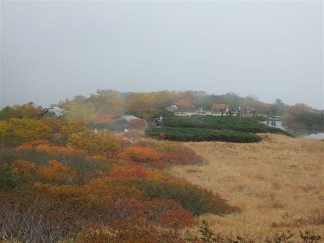 奥の方に剣ケ池が見えます。