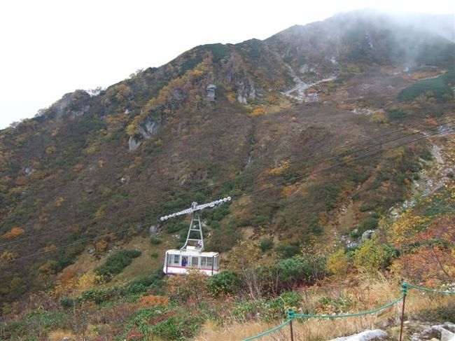 臨時のロープウェイが登ってきました。<br />乗ってるのは係りの方が一人。<br /><br />何だか周りで「帰りのロープウェイは2時間待ちらしいよ」なんて言ってる会話が聞こえてきました(>_<)