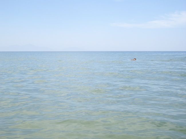 夫は泳ぎまくっています。<br /><br /><br />遠浅で、波もほどほどにあって、