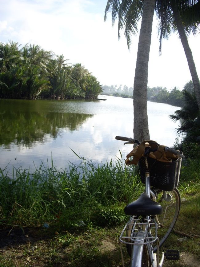 チャンフンダオ通り。<br /><br />白鳥が沢山並んで泳いでいました。