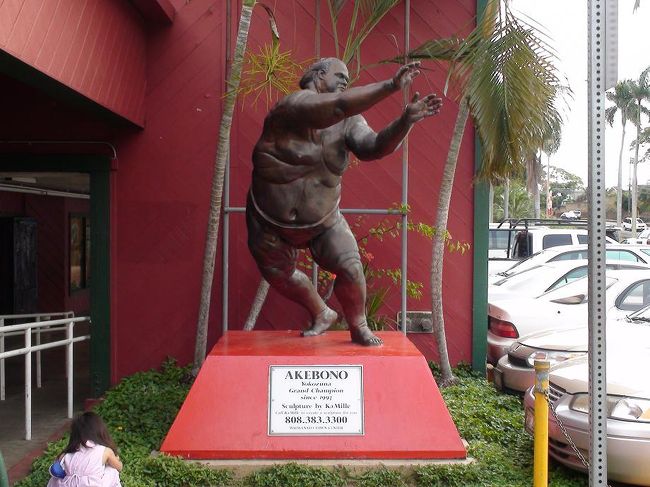 カイルアビーチに行く途中で寄ったショッピングセンター。<br />曙の銅像を発見。<br />ナビの案内通りにカイルアへ走っていると赤いショッピングセンターが出てきます。