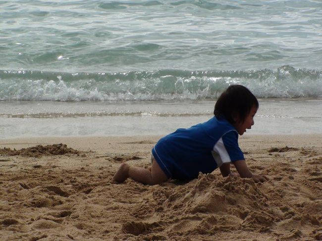 下の子はワイキキビーチで爆走中。