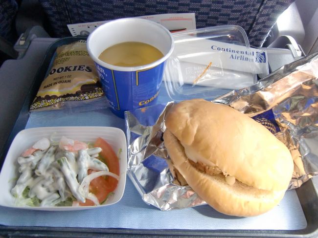 機内食はチキンバーガーでした。<br /><br />ビールを注文して、旅の始まりに乾杯！！のはずが、<br />「Beerユウリョウ。」とスッチーに言われ渋々お茶にしました。<br /><br />イタリアの時はアルコール飲み放題だったのに！<br />はずかしめられた･･･