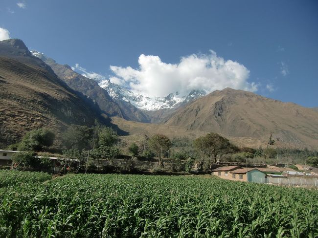 ペルーの一般庶民の物価は安く、レストランはお客を少しだけつかまえればそれでいいという。１皿700円〜800円というピザやパスタの値段はペルーでは相当高額なのであろう。