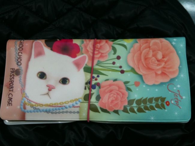 翌日9時ごろ、会う予定だったソウル在住のオンニに電話。<br />事情を話していろいろお願いしてみる。<br />しかし、韓国語で市場や空港に韓国語で電話もかけてくれるも見つからない。。。<br />そこで再発行手続きの方向へ。<br />大使館で再発行するには警察署で紛失証明書がいるようなので、<br />警察署のある仁寺洞でオンニと待ち合わせることに。<br /><br />と、思ったらオンニから電話が！<br />「金浦空港で、見つかったって〜〜！！」<br />な、なんと奇跡的な！<br /><br />というわけで、45分かけてまた空港へ。<br />金浦でにゃんこと再会。<br />あなた、招き猫かもしれないね。<br />