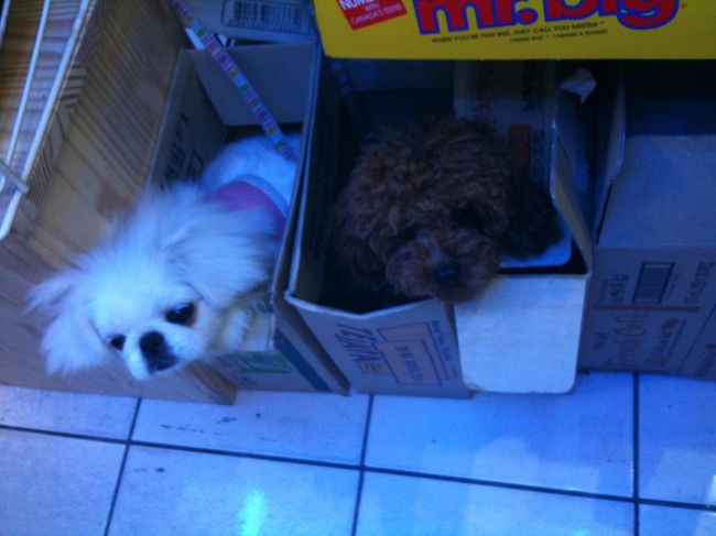 最後にもう一度あの子に会いに行きたい…<br /><br />★おしまい★