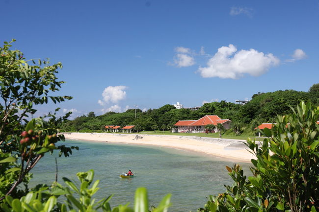 浜辺を散策するもヨシ！<br /><br />こちらは、一番最初の東屋付近から、BBQのあるテーブル方向をみています。