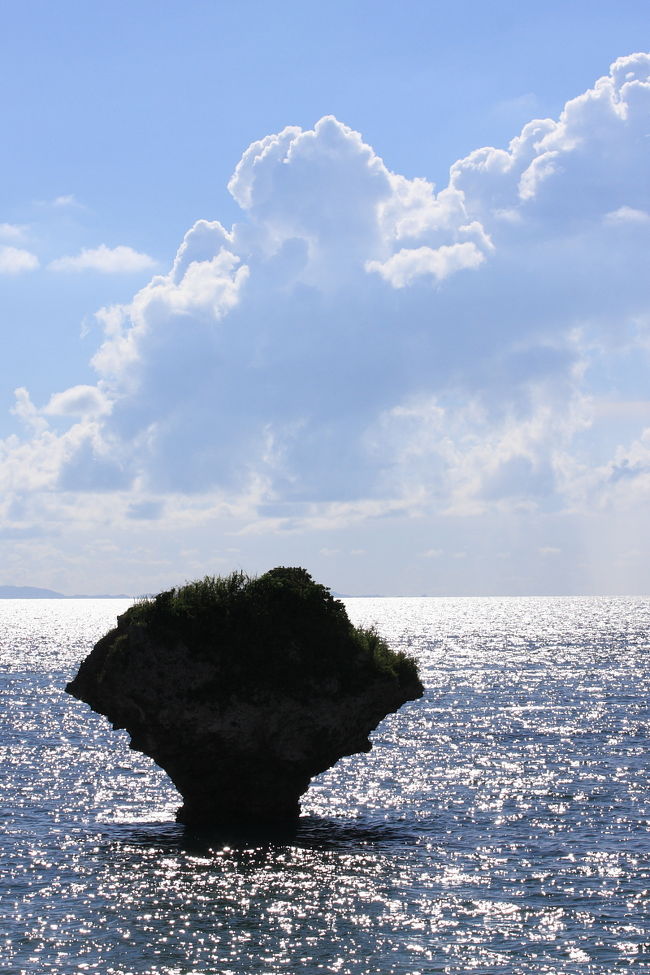 だいたい、100メートル先でも腰くらいの深さしかありませんが、小さな魚がいたり、ウミヘビとかもいたそうです。