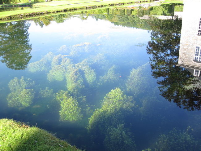 水の透明さが分かる写真。<br /><br />水の中にある藻。<br />みたことないような美しさ。