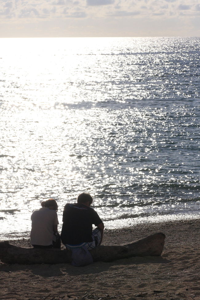 していたら、割とイイ時間に突入してきました。<br /><br />沖縄が初めてで、シュノーケリングも始めてのメンバがなかなか帰ってこないので心配したのですが、背後からひょっこり・・。<br /><br />目の前の海を横切り、一周してきたとのこと・・（ぉぃw<br />