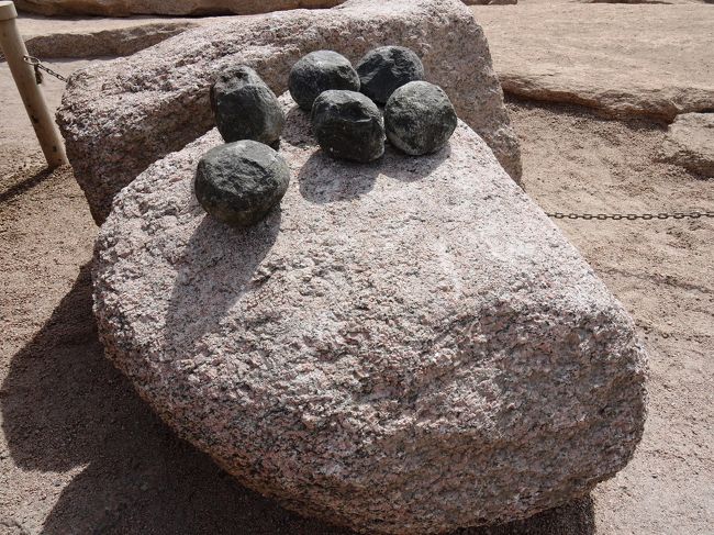 シューマイみたい。<br />