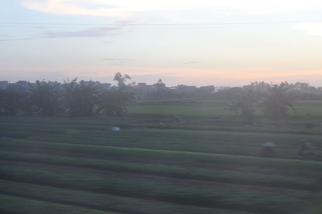 帰路です。<br />この辺は自然たっぷり、広大です。