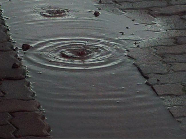 　雨降りの、しかも月曜日にもかかわらず、道の駅は大勢の人が詰めかけていました。<br /><br />　観光というのは光を見ると書きますが、雨が降っても旅は旅。