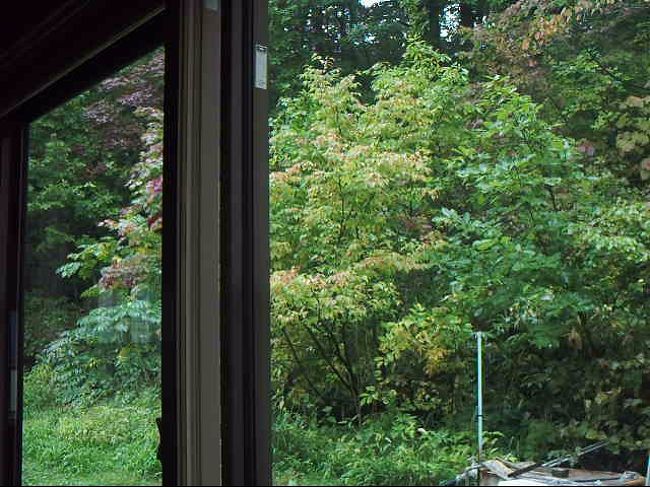 　廊下の両脇は、自然のままの景色。