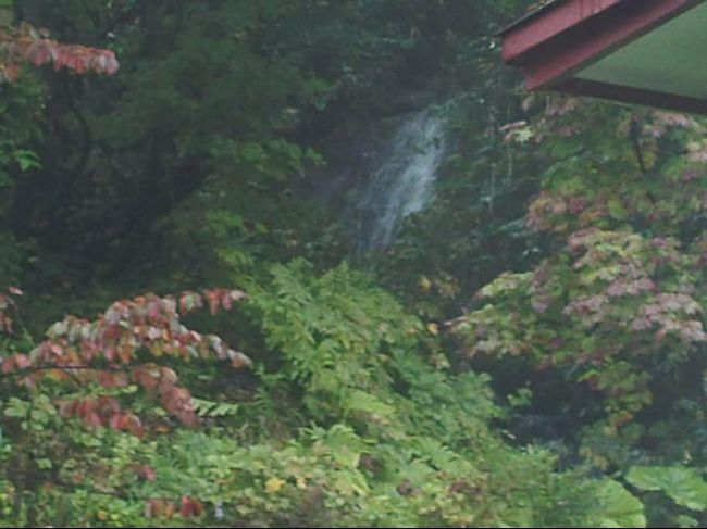 　露天風呂に出てみると、先客が二人いらっしゃいました。<br />　どちらも、雨の中じっと湯に浸かっています。<br />　瞑想するかのように目を閉じ、すぐ脇に流れる滝の音と、雨の音、そして虫の音。<br />　恵みの雨を吸い込んで、むせるような森の香りが肺の奥にまで染み込みます。<br /><br />　隣の男性に、<br /><br />　「雨の日も、悪くありませんね。」<br /><br />　と、声を掛けてみると、その人は瞳を開け、にこりと笑顔を作り、<br /><br />　「ええ。でも、やっぱり晴れが良いですね。」<br /><br />　と、おっしゃいました。３０代くらいのビジネスマンふうの男性です。月曜の昼下がりにお見かけするとは、よほどの秘湯ファンか、と自分のことをさておき想像をたくましくします。<br /><br />　浴槽の縁に腰掛けて目をつぶる向かいの男性の脇に、筒から流れる湯口があって、その横にコップが置いてあります。<br /><br />　「飲めるんですねえ。」<br /><br />　と、声を掛けると、その男性は目を開けちょっと場所を空けてくれました。<br />　コップを取って口に含んでみると、内湯のような鉄分の匂いは少なく、「炭酸」の味がしました。<br />　昔、群馬県の伊香保温泉のはずれにあった無人の露天風呂で口に含んだ味を思い出しました。<br />　ただ、浴槽に浸かっていても気泡が体に着くこともないので、気のせいなのか……。<br /><br />　「うまいですか。」<br /><br />　と、見守っていた男性が訊いてきました。うっすらとひげを蓄え、ちょっと登山者風の方です。<br /><br />　「嫌いな味ではありませんね。」<br /><br />　変な返事をしたものです。