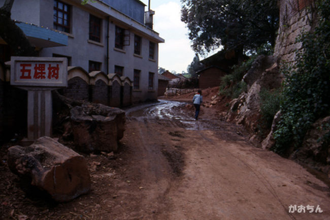 石林飯店に部屋を取り（10元）、村へ行く。<br /><br />サニ族の村は小道が泥でグッチャグチャだ。<br /><br />私がとまどっていると、彼女達は小石を伝ってスイスイ歩いていく。<br /><br />優れたバランス感覚だ。