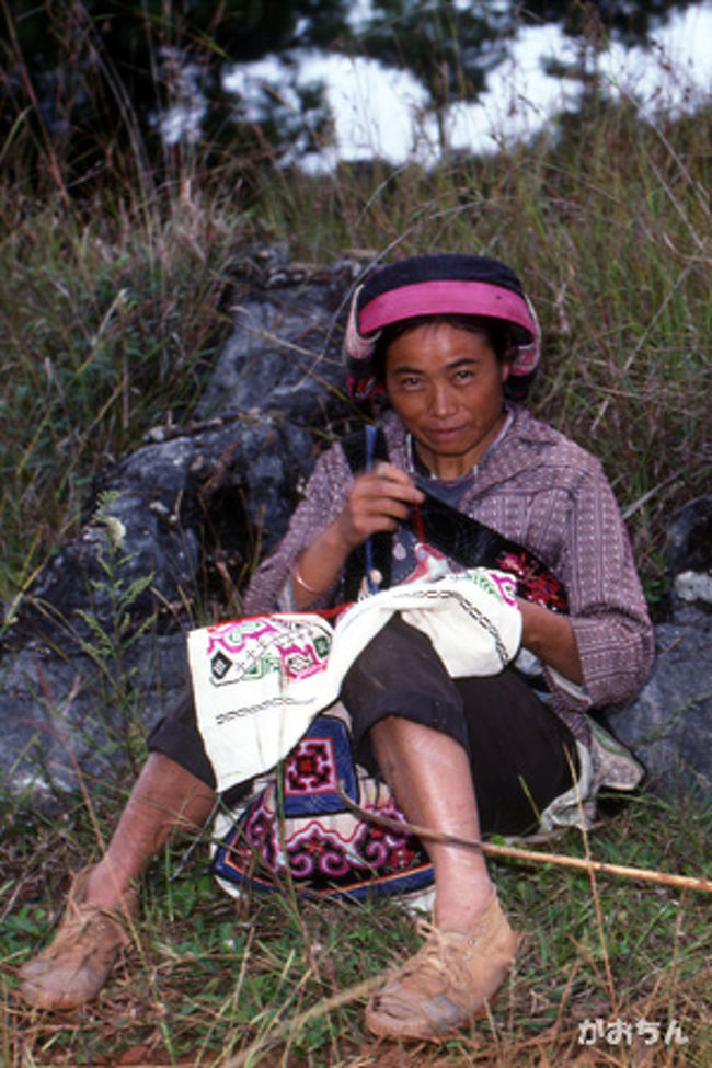 彼女は牛の放牧をしながら、せっせと刺繍をしているのだった。<br /><br />母親がこしらえた商品を、娘達が売るのである。<br /><br />そりゃあ、一生懸命売るはずだよな。