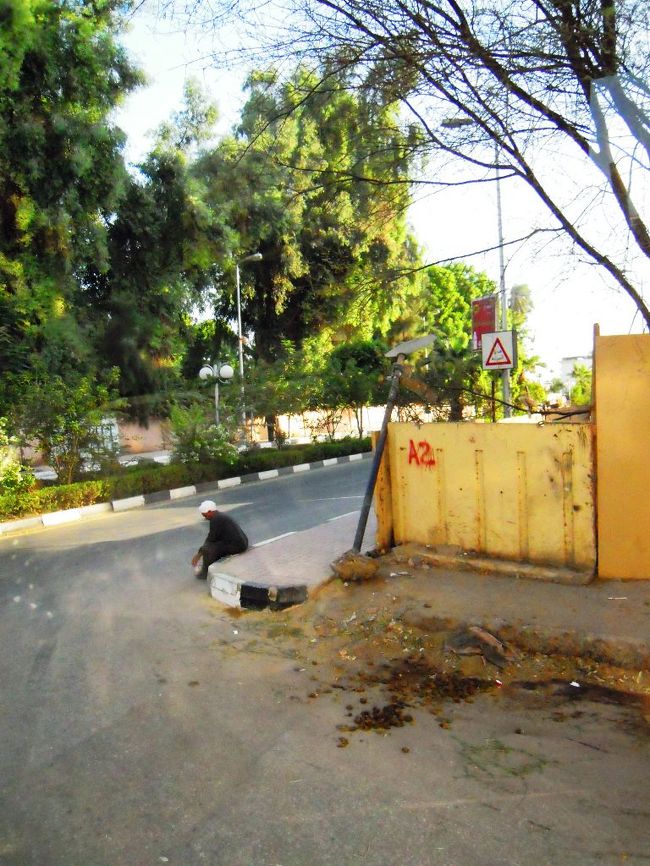 王家の谷は、撮影禁止でした。<br />朝、７時ぐらいからの観光で、気分的には２時間たった９時ぐらいの気分でした。太陽の光と気温と３０度以上いっています。<br />まぶしすぎてサングラス必須です！<br /><br />トイレで小銭をつかいました。<br /><br />３つの墓に入ったけど、蒸し暑かった。<br />あとツタンカーメンの墓にも入った☆