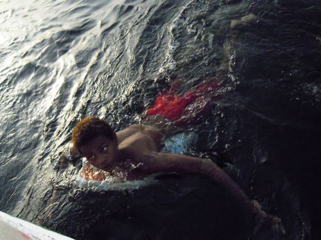 近所のこどもが近づいてきた。