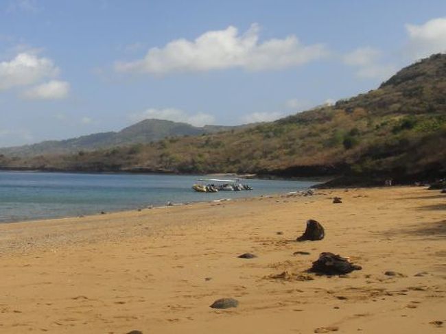 クジラ＆イルカ追跡行を終えて、一行はどこだかわからないビーチへ。<br /><br />他のボートの乗客らも集まり、ここで昼食。