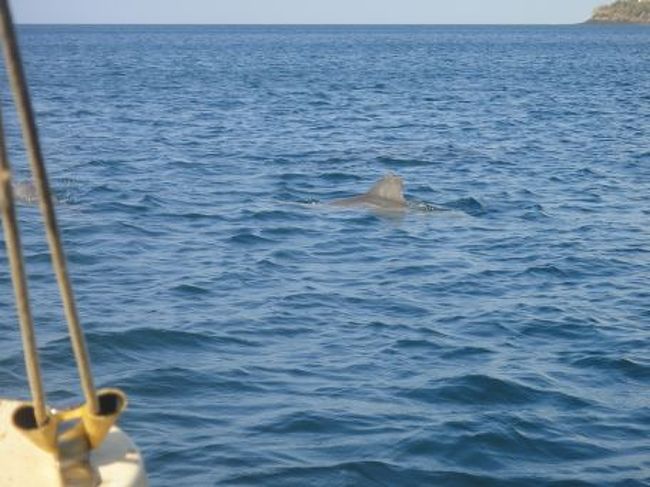 ランチ休憩が終わると、ボートは順次出発る。。といっても時間はもう３時をまわって、ぼちぼち港に向かうのだろうと思われた。<br /><br />途中、穏やかな入江に。<br /><br />住宅街も見えるここで、イルカの群れがプカプカと・・・ボートが止まる。イルカと泳げるのか！？