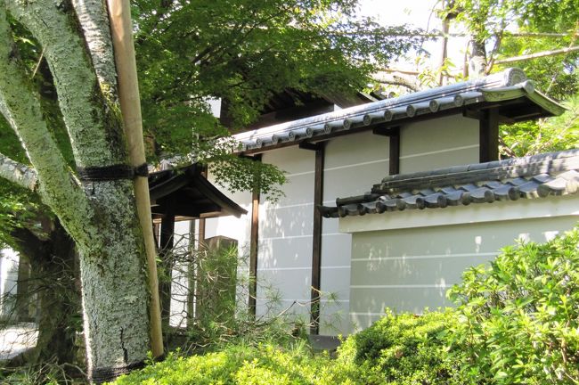 2010秋、石庭の龍安寺(1/5)：参道、境内案内図、鏡容池、睡蓮