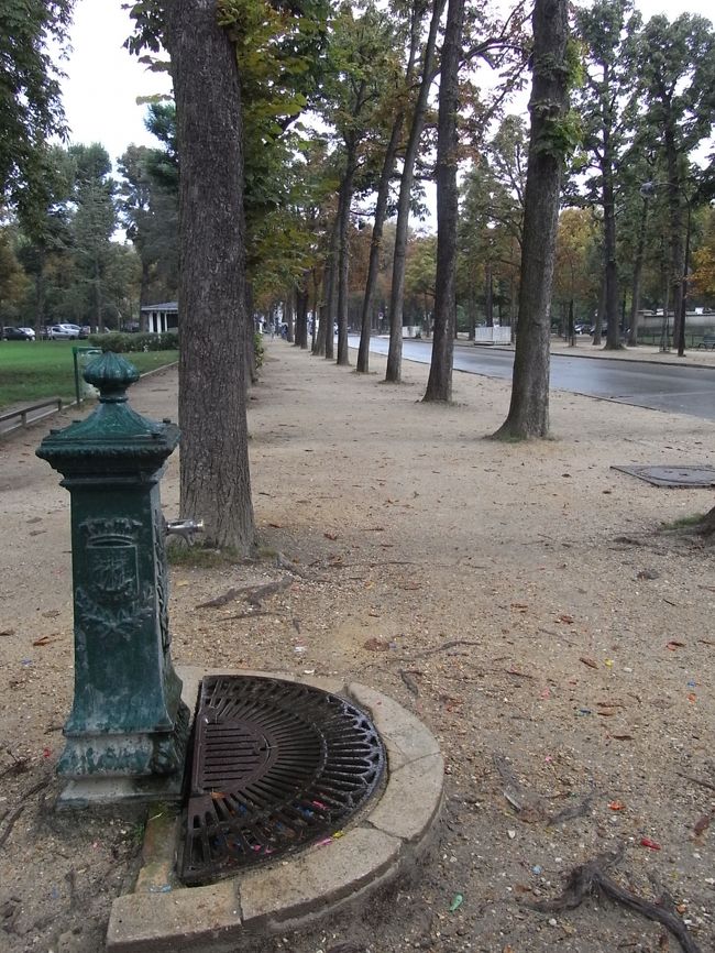 素敵な並木道♪