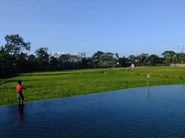 ウブドのチェンダナ・リゾート＆スパ滞在<br />http://4travel.jp/traveler/ankou/album/10509896/<br /><br />ウブド散策に便利な立地。<br />バリっぽい雰囲気のある手頃な宿です。<br />ゆったりと過ごせます。<br />5泊しました。