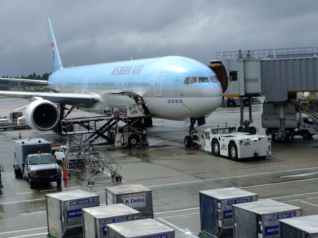 フライトは計9時間。長いですね。<br /><br />バリのデンパサール空港に丁度深夜0：00に着きました。<br /><br />今回、入国エスコートサービスを申し込んでありました。<br />（BALI HOTEL BOOKです。）<br />警備員が私の名前の書かれたミーティングカードを持って待っていてくれました。<br />ビザ25ドルとパスポートを手渡すと<br />スイスイと優先的にビザ申請、入国審査、そして荷物検査を通り、<br />出口まで案内してもらいました。<br />（従来は入国ラウンジでただ待機していれば良かったようですが、<br />先月からそのラウンジは閉鎖になったようです。<br />後日、旅行会社から返金がありました。）<br /><br />