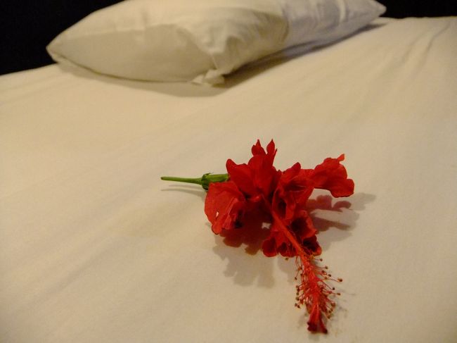 BALI HOTEL BOOKさんの送迎車に乗り込み、<br />50分くらいで、ウブドに到着しました。<br /><br />チェックインして、初日終了です。