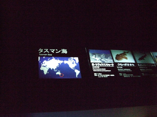 タスマン海