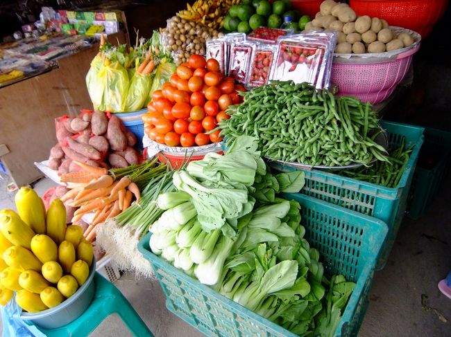 車チャーターで西部観光＆タンジュンブノアへ<br />http://4travel.jp/traveler/ankou/album/10510827/<br /><br />タマンアユン寺院、チャンディクニン市場、ウルンダヌ・ブラタン寺院、<br />ジャティルイ・ライステラスを観光しました。<br />