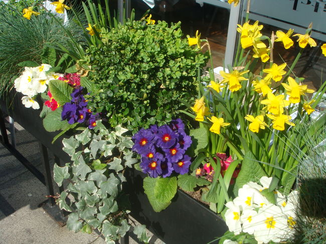 お花もたくさん植えられていています。