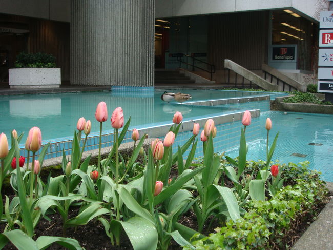 水辺では鳥さんが休憩していたり。<br />わかるかな？