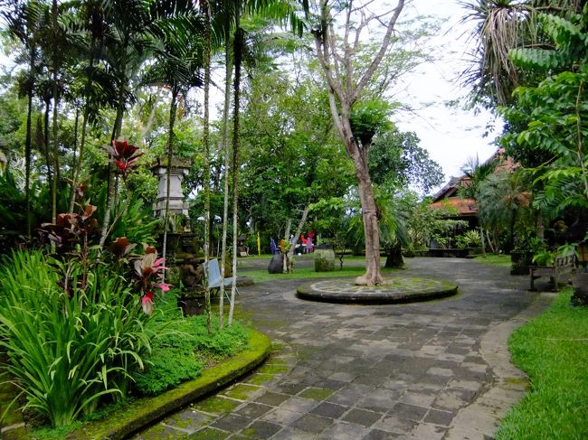 くつろげますね。