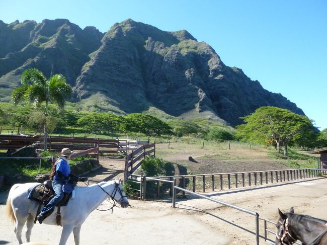 ジープツアーから戻ったら乗馬です。<br /><br />まずはガイドさんが先頭で<br /><br />２時間コースのスタート<br /><br />