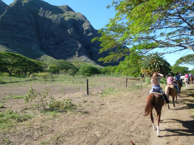 １列に連なって進んでいきます