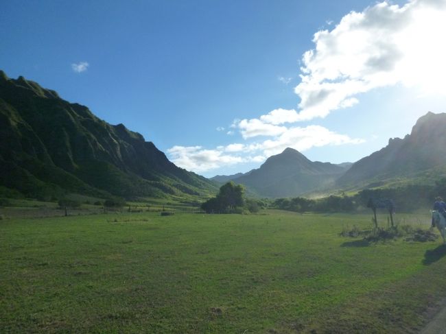 ジュラシックパークやロスとの撮影を行った場所だそうです。<br /><br />