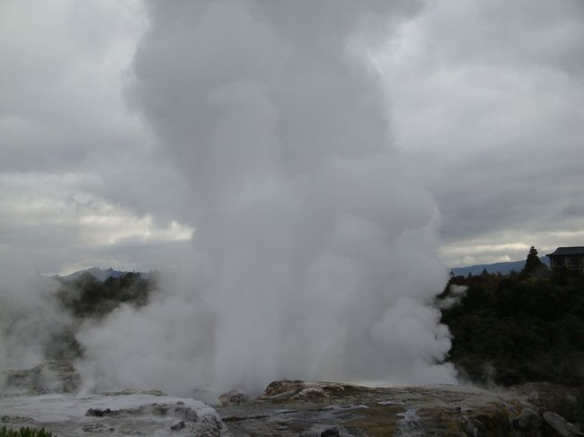 間欠泉ポフツ・ガイザー<br />最高30mの吹き上げが・・・<br /><br />結構時間が掛ったんだけど、見れました。。<br /><br />写真では、モクモクの白煙しか。。。