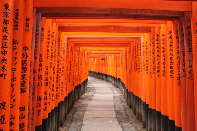 裏側には提供者（寄付？）の名前がびっしり…<br /><br />1本いくらだろう？<br />管理費は？高そう。